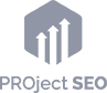 Раскрутка сайтов и интернет-магазинов от PROject SEO