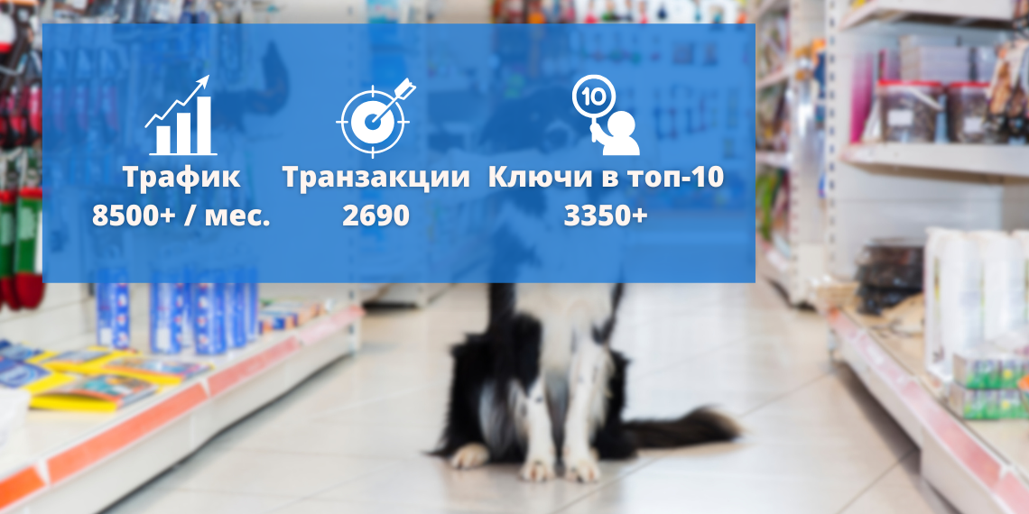 SEO для интернет-зоомагазина и ветаптеки